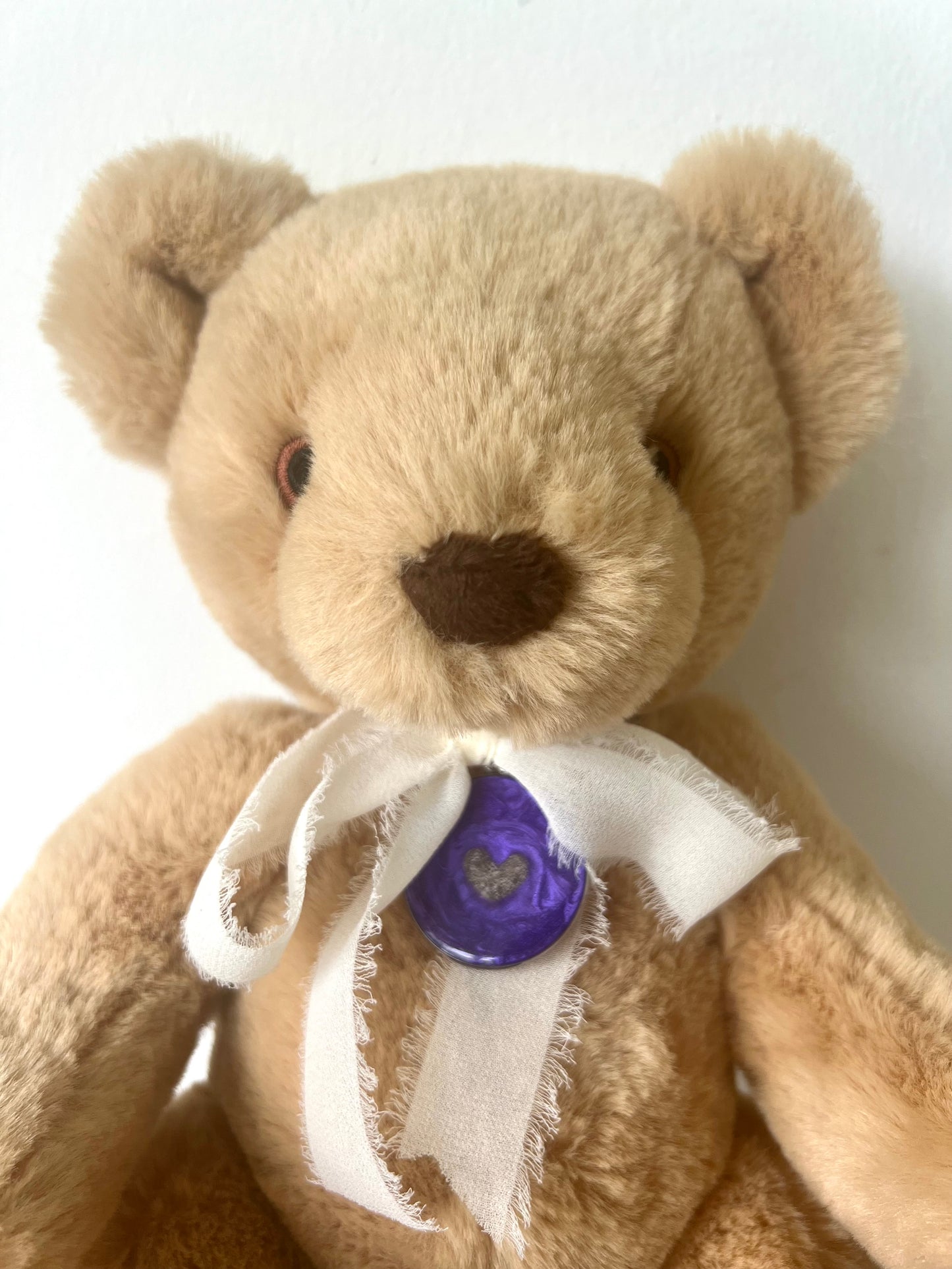 Memory Teddy Bear